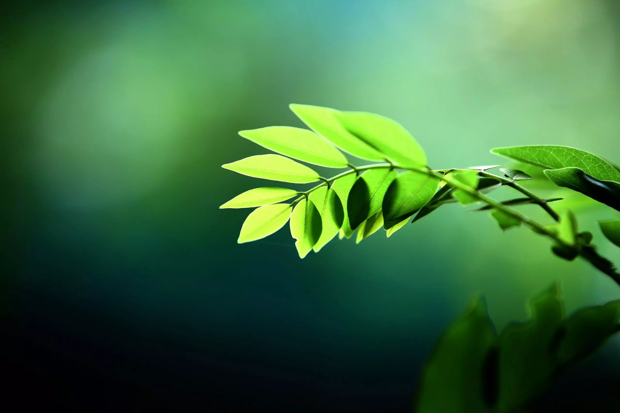 Green Investments: Navigating the ESG Landscape